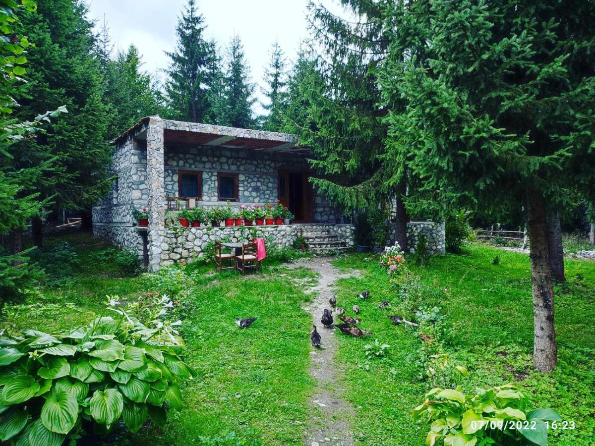 Guest house Hyrmet Demushi Valbone Buitenkant foto