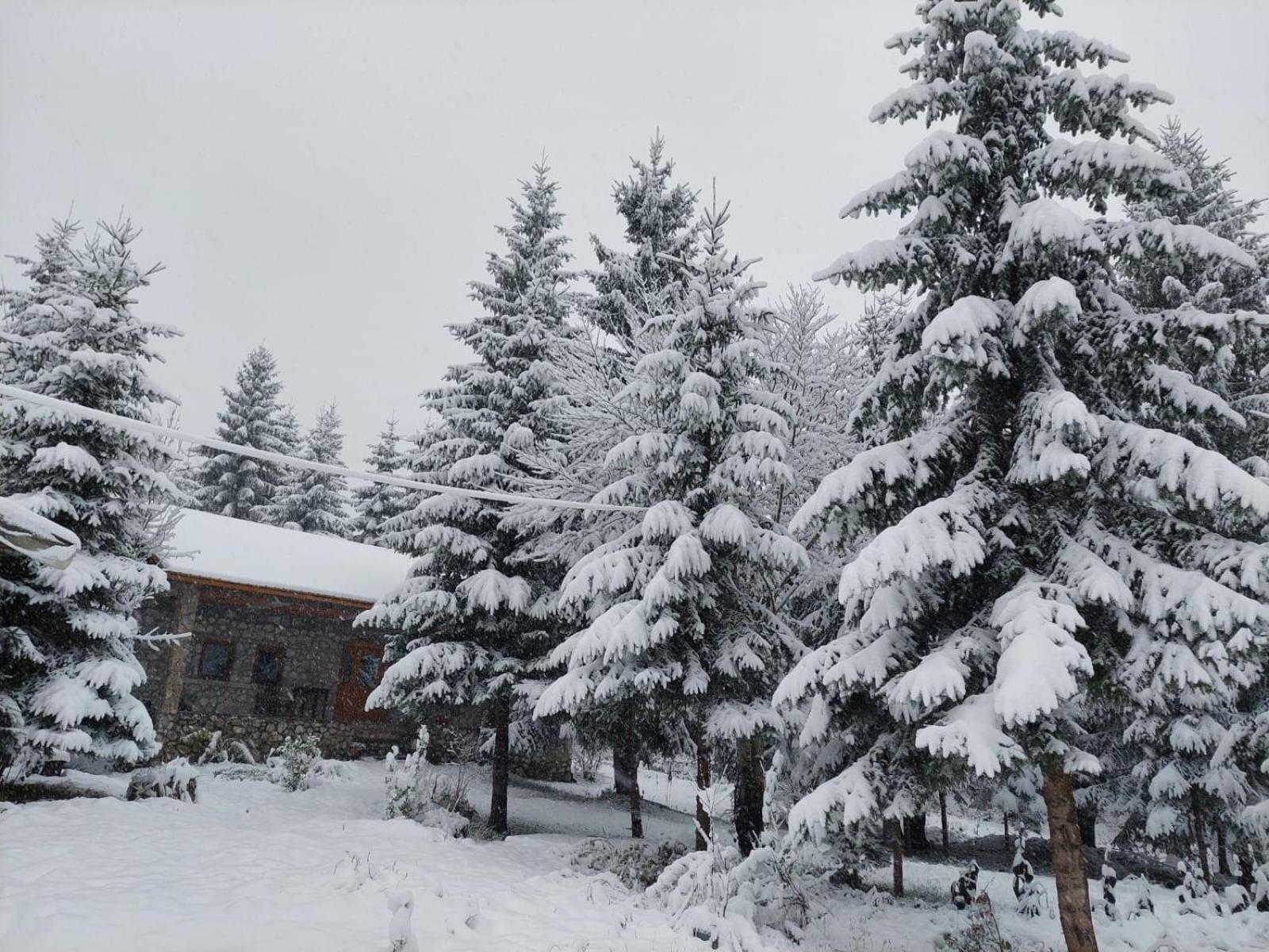 Guest house Hyrmet Demushi Valbone Buitenkant foto