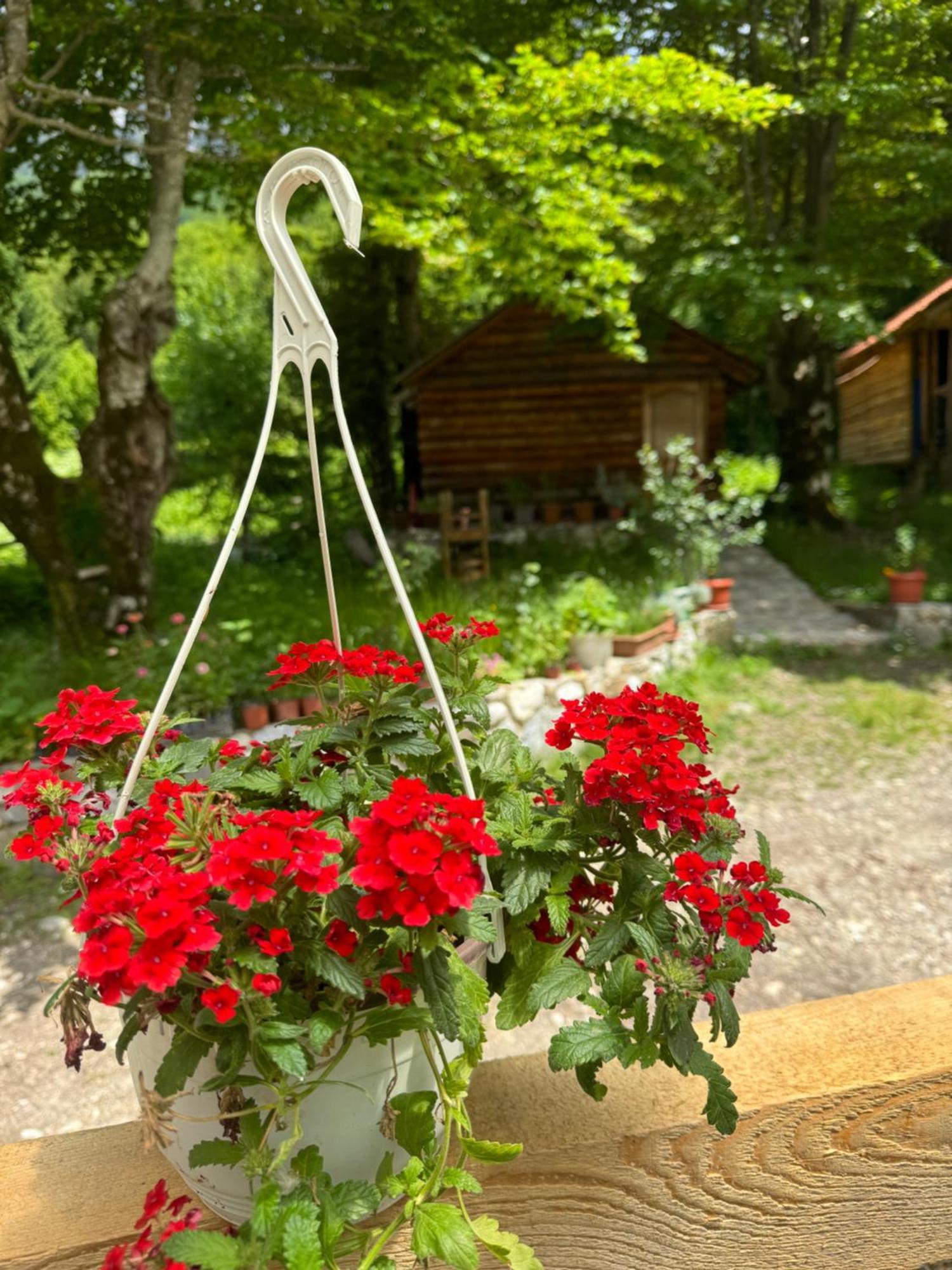 Guest house Hyrmet Demushi Valbone Buitenkant foto