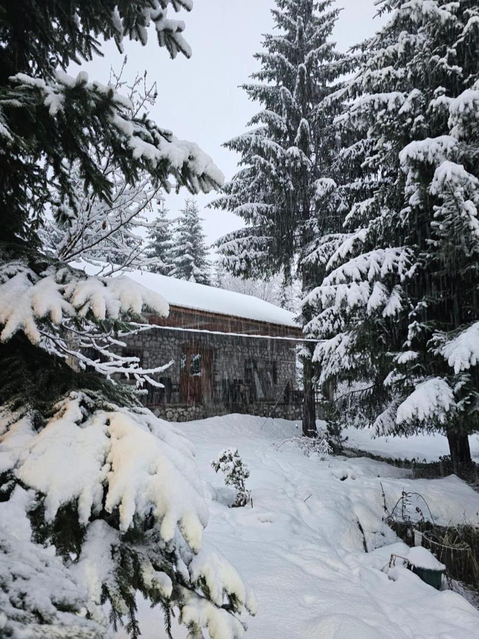 Guest house Hyrmet Demushi Valbone Buitenkant foto